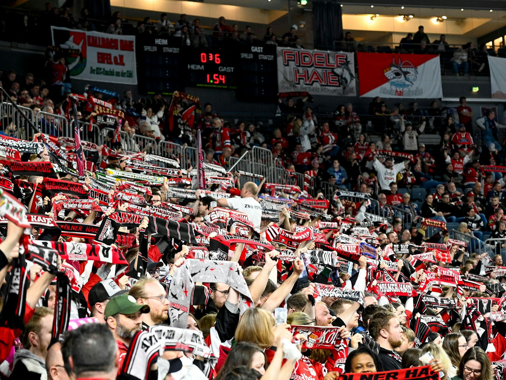Lanxess Arena bei Nacht, Köln