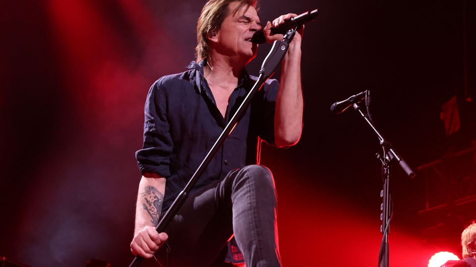 Campino und die Toten Hosen spielen live auf der Bühne