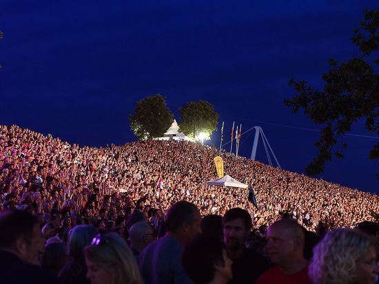 Campino mit den Toten Hosen auf der Bühne
