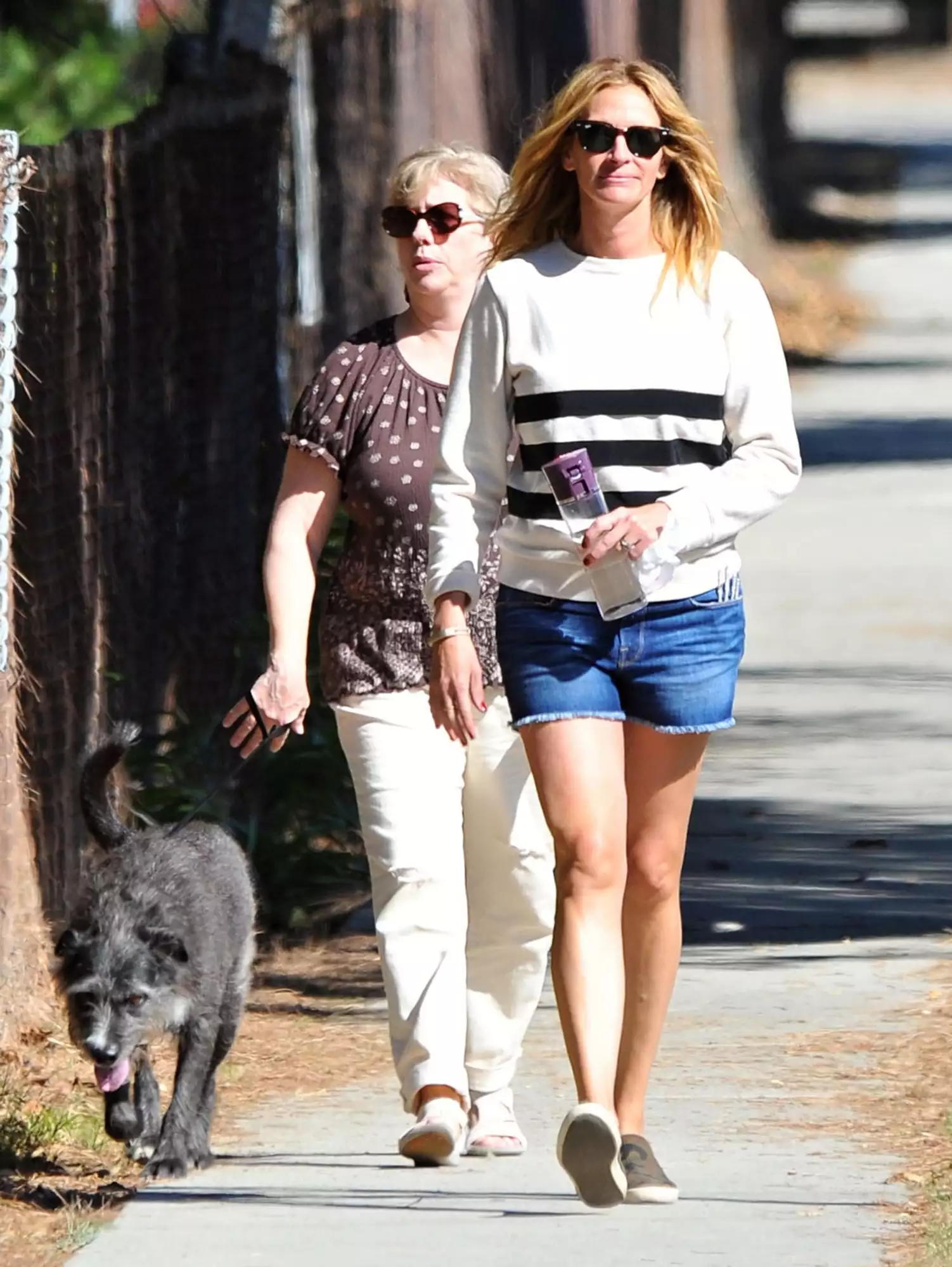 Julia Roberts with her beloved dog Myrtle