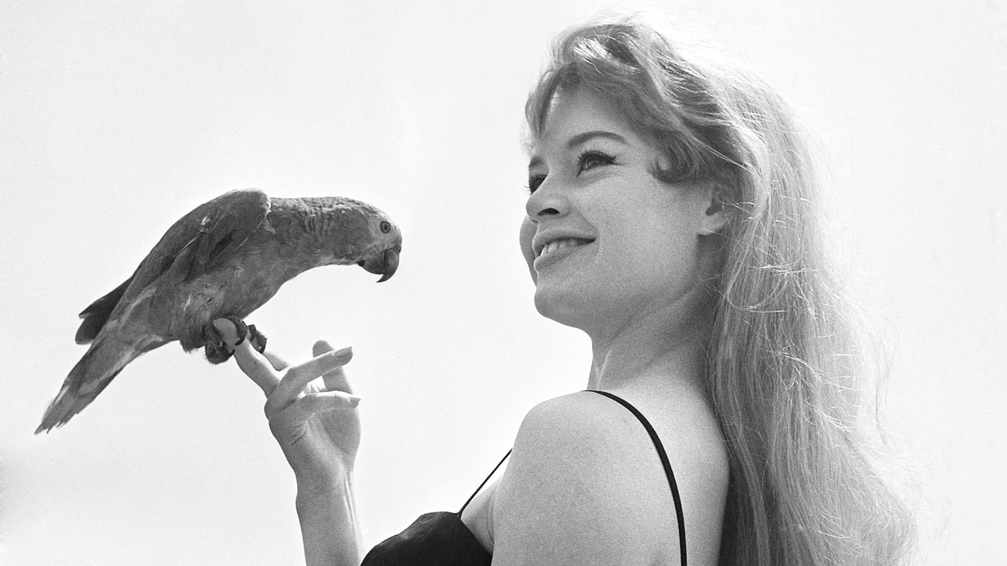 Brigitte Bardot, icône du cinéma français, posant chez elle à Saint-Tropez.