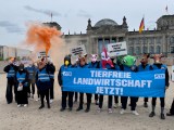 Berlin Tag und Nacht Drama und Emotionen in der Hauptstadt-WG